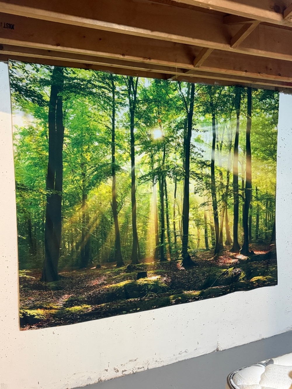 Green Forest Tapestry Wall Art - Unbranded X Large